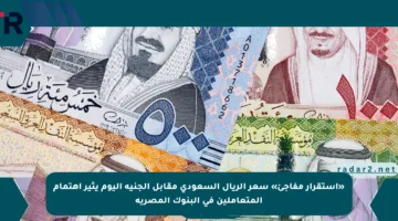 «استقرار مفاجئ» سعر الريال السعودى مقابل الجنيه اليوم يثير اهتمام المتعاملين في البنوك المصرية